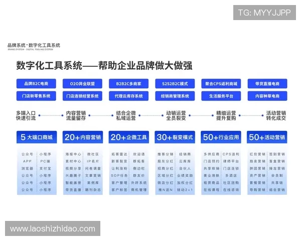 壹号网站：如何利用壹号网站提升企业品牌影响力与市场竞争力